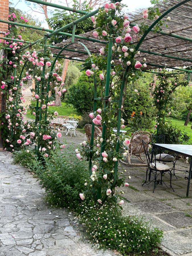 Dimora Rosa Bianca Otel Macerata Dış mekan fotoğraf